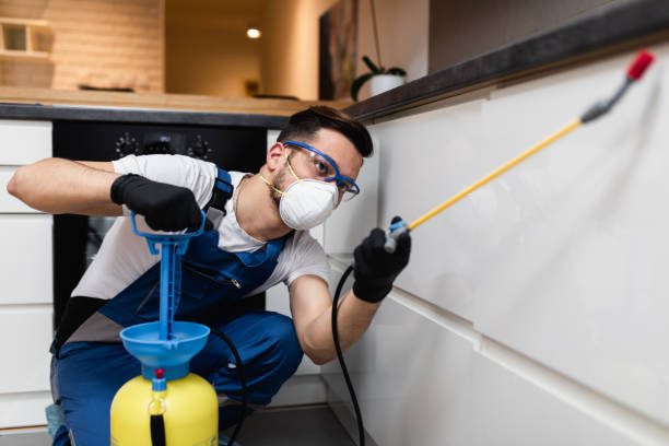 Best Residential Pest Control  in Stlman Valley, IL
