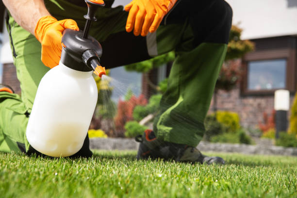 Best Mosquito Control Services  in Stlman Valley, IL