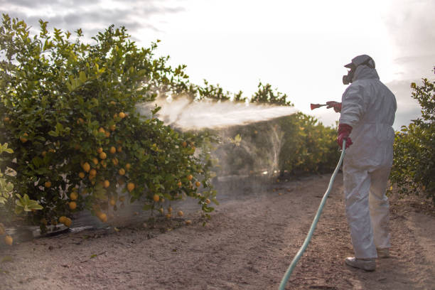 Best Pest Inspection Near Me  in Stlman Valley, IL