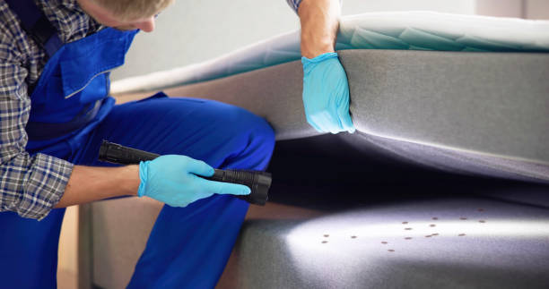 Trusted Stillman Valley, IL Pest Control Experts