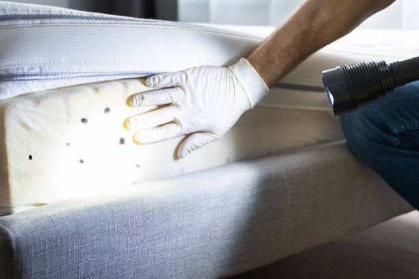 Best Commercial Pest Control Services  in Stlman Valley, IL