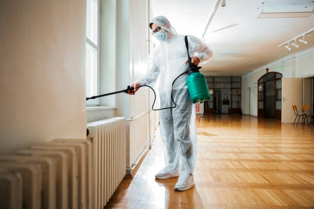 Best Mosquito Control Services  in Stlman Valley, IL