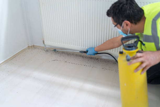 Best Termite Control Services  in Stlman Valley, IL